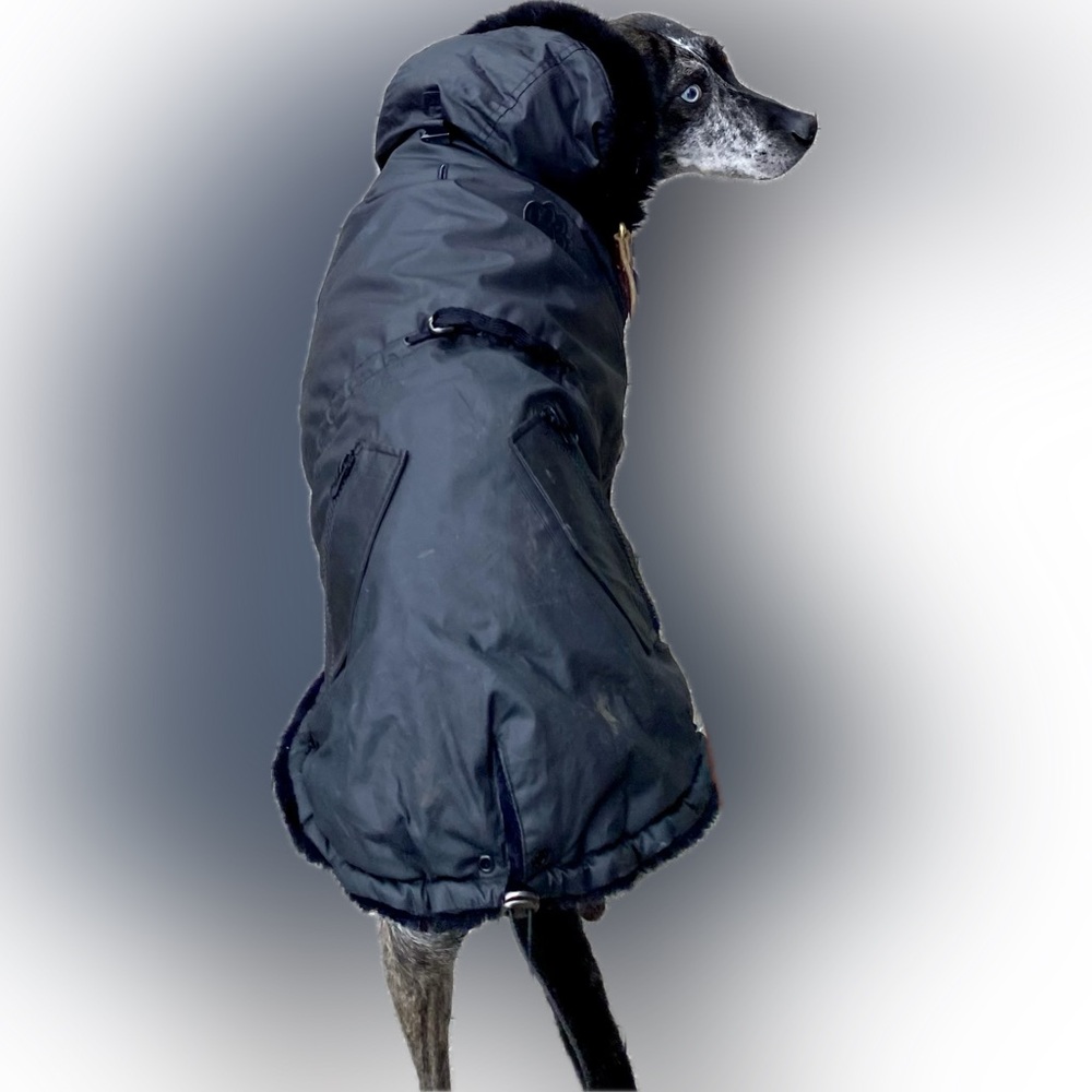 Canada Pooch winter dog coat size 26